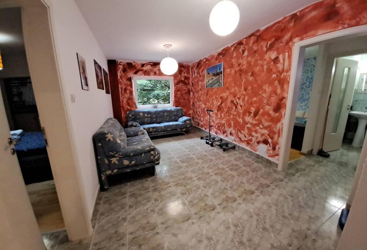 Daria Lorenzo Apartament Timisoara Exterior foto